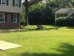 Lawn Maintenance & Applications