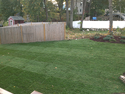 Lawn Maintenance & Applications