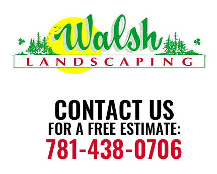 Walsh Landscaping Contact Us For a FREE Estimate 781-438-0706